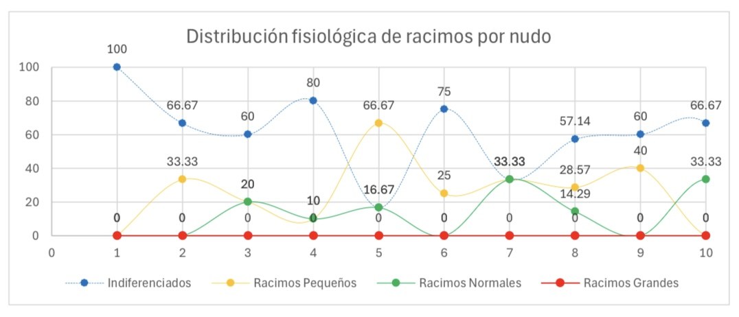 Gráfico de distribución de racimos por nudo