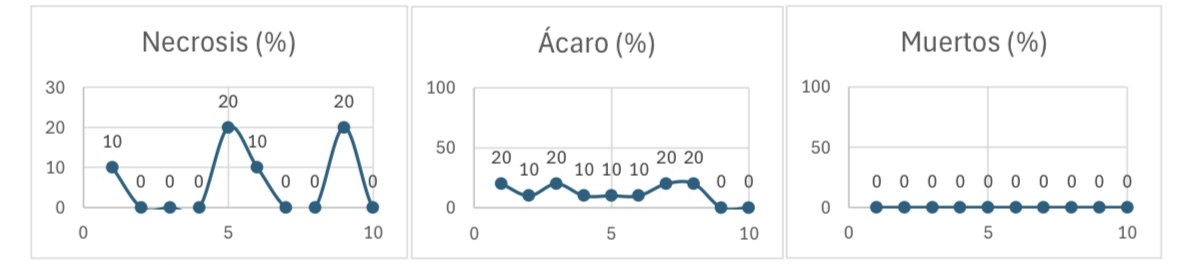Gráficos de necrosis, ácaros y yemas muertas