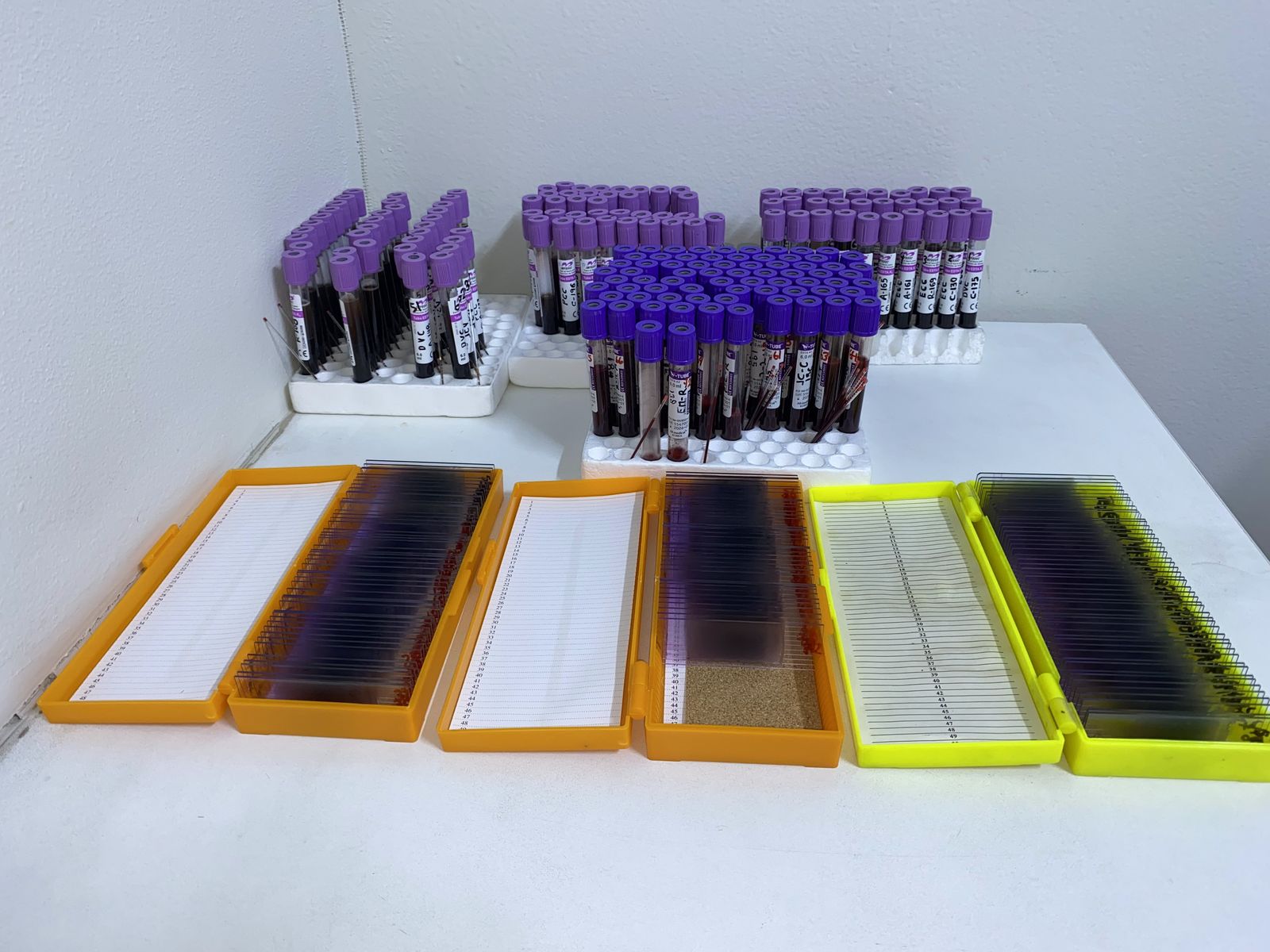Muestras y láminas en el laboratorio